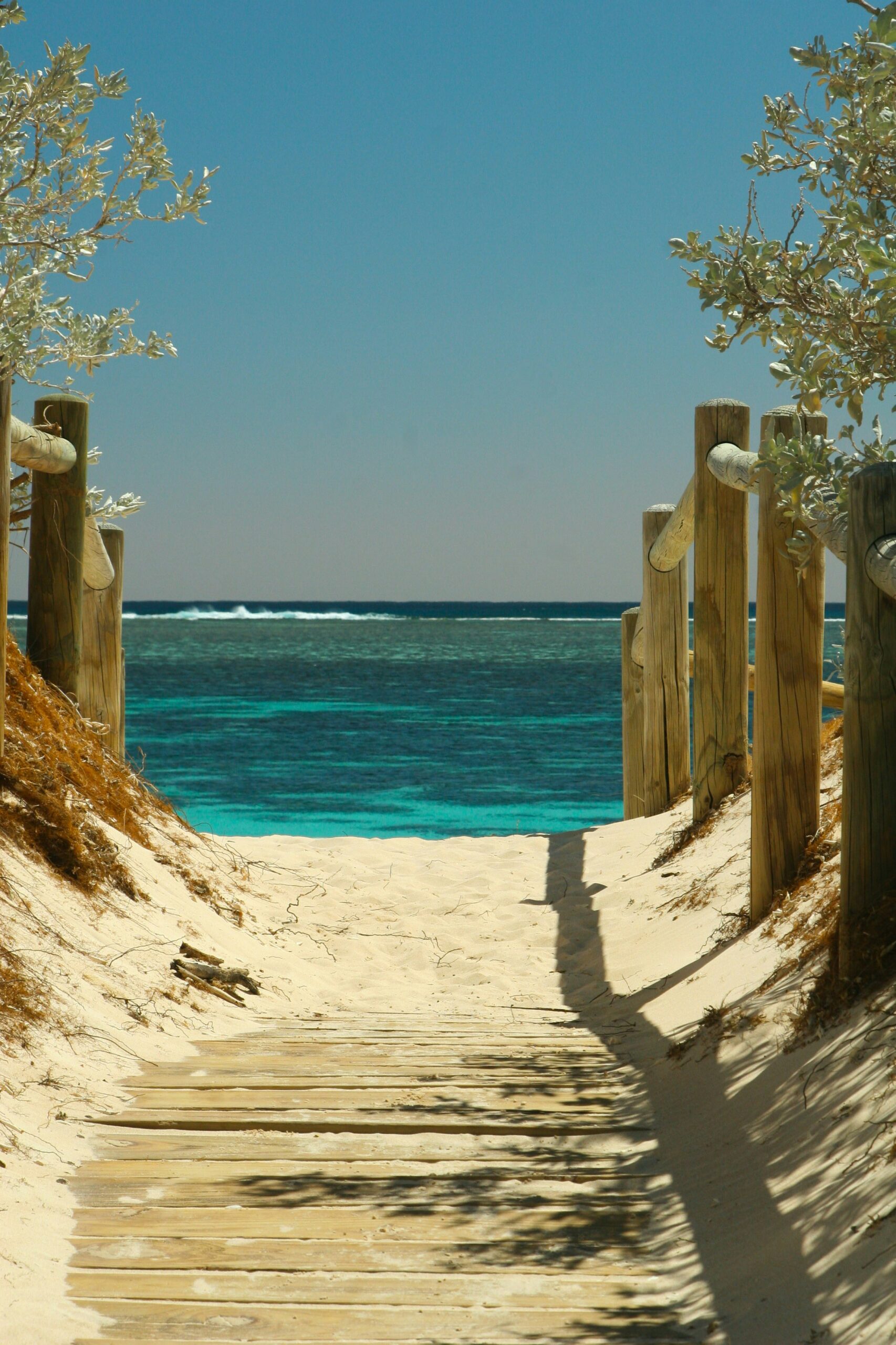 Healthy Habits for a Smooth Summer